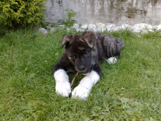 20102008069web.jpg