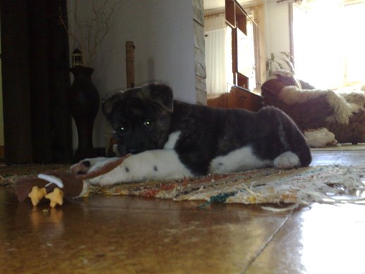 12102008016web.jpg