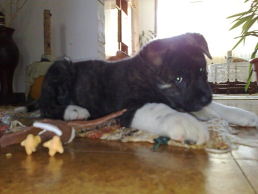 12102008018web.jpg