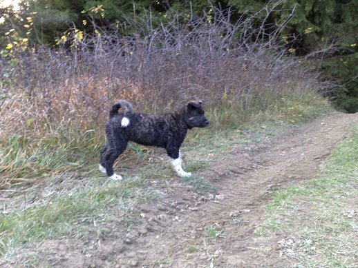 05112008122web.jpg