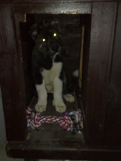 05112008123web.jpg