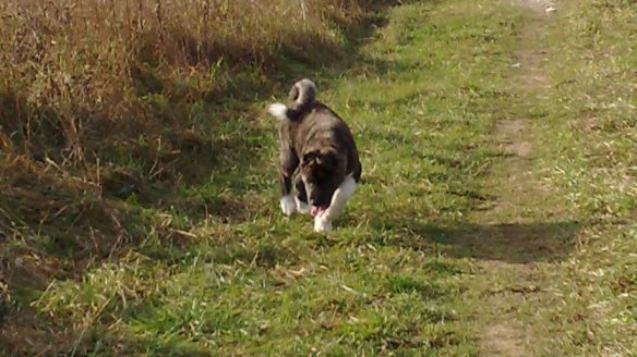 08112008129web.jpg