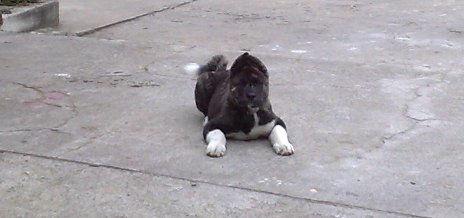 14112008146web.jpg