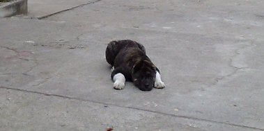 14112008145web.jpg