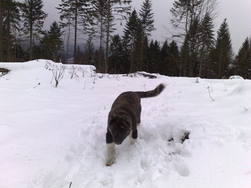 29112008201web.jpg