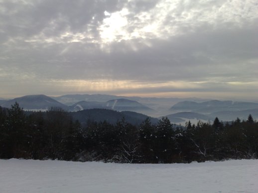 17012009338web.jpg