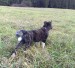 01112008089web.jpg