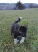01112008092web.jpg