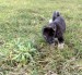 01112008096web.jpg