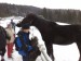 261220081195web.jpg
