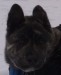 261220081198cut.jpg